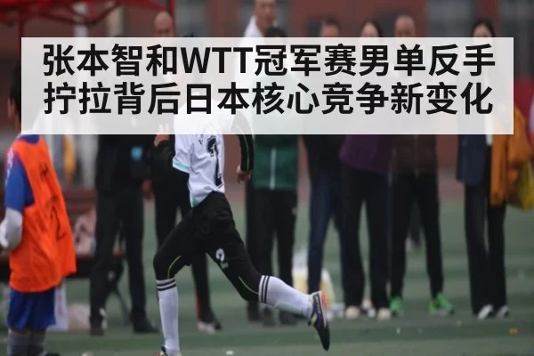 张本智和WTT冠军赛男单反手拧拉背后日本核心竞争新变化